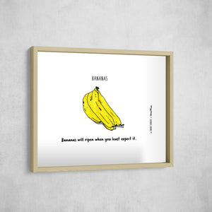 Bananas, Gallery Border style, large format