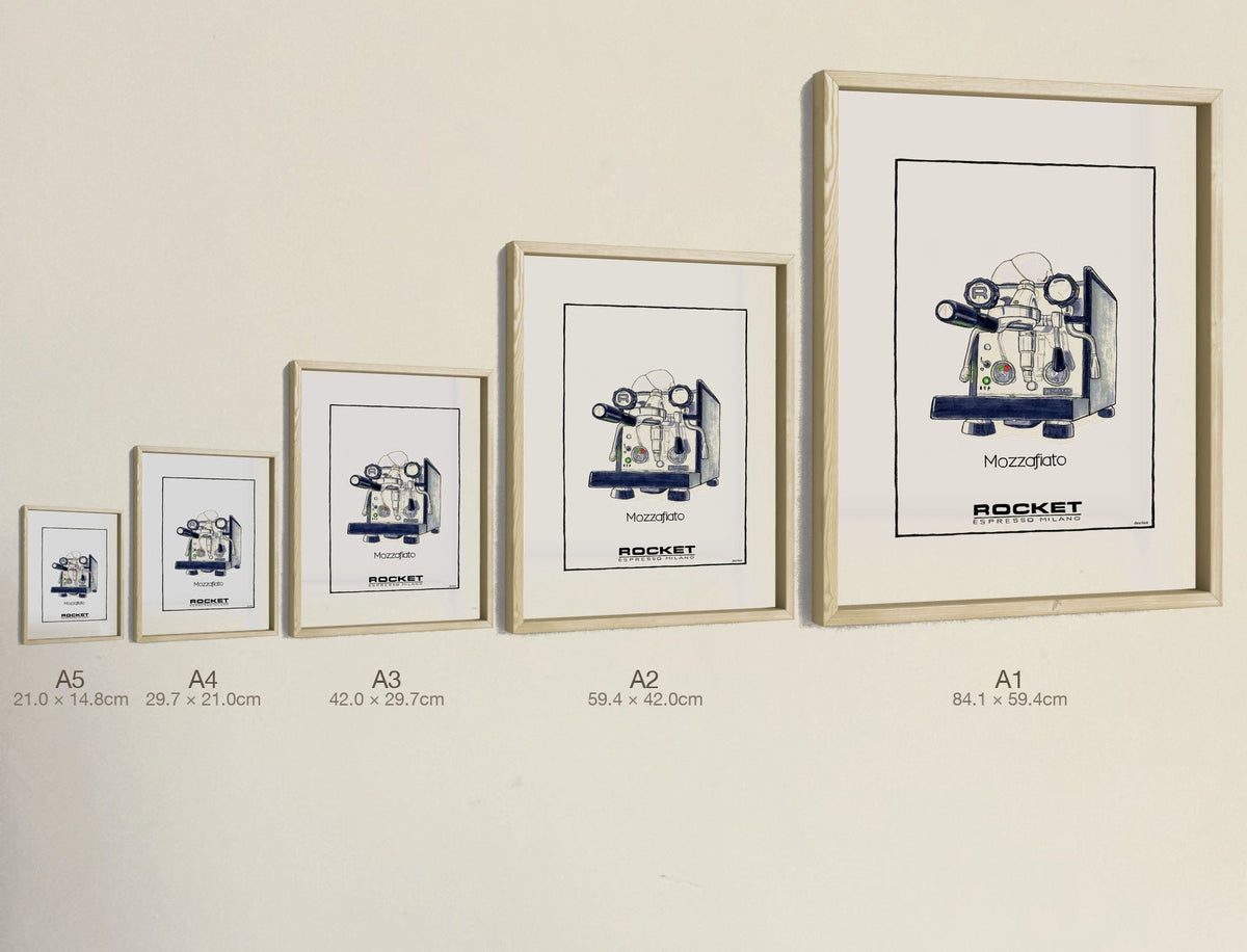 Mozzafiato, all five sizes, true relative scale
