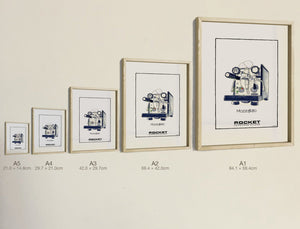 Mozzafiato, all five sizes, true relative scale