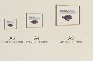 The Time Traveller's Sandals, all three sizes, true relative scale