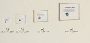 The Time Traveller & The Alarm Clock, all four sizes, true relative scale