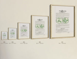 The Fourth Place Medal, all five sizes, true relative scale