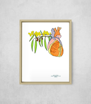 The Heart and the Wattle, framed, front on