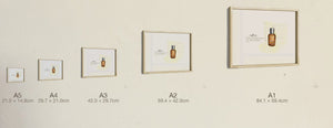 The Magical Scent, all five sizes, true relative scale