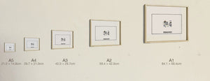 Rocket Giotto, all five sizes, true relative scale