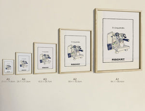 R Cinquantotto, all five sizes, true relative scale