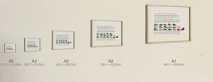 The Gravity Shoes, all five sizes, true relative scale