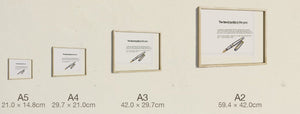 The Time Traveller & The Aurora 88, all four sizes, true relative scale